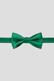 Aqua Men's Party Bow Ties