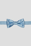 Aqua Men's Party Bow Ties