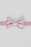 Aqua Men's Party Bow Ties