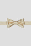 Aqua Men's Party Bow Ties