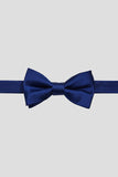 Aqua Men's Party Bow Ties