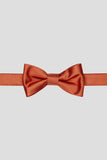 Aqua Men's Party Bow Ties