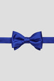 Aqua Men's Party Bow Ties