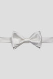 Aqua Men's Party Bow Ties