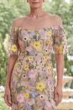 Champagne Illusion Neck Sheath Embroidered Floral Long Mother Of the Bride Dress with Slit