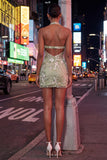 Sage Green Halter Neck Sheer Corset Bodycon Embroidered Homecoming Dress