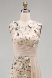 Apricot Illusion Round Neck Sheath Pleated Sequins Long Formal Dress with 3D Appliques