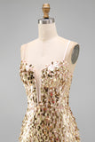 Sparkly Champagne Bodycon Corset Lace Up Back Sequins Homecoming Dress