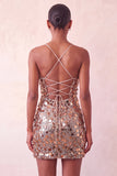 Sparkly Silver Bodycon Lace Up Back Short Homecoming Dress with Sequins
