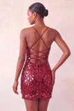 Sparkly Silver Bodycon Lace Up Back Short Homecoming Dress with Sequins