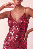 Sparkly Silver Bodycon Lace Up Back Short Homecoming Dress with Sequins