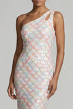 Blush Mermaid One Shoulder Sequins Long Mother Of the Bride Dress