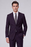 Dark Navy 2 Piece Peak Lapel One Button Men's Prom Suits