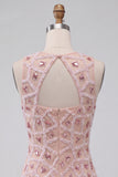 Blush Bodycon Round Neck Short Homecoming Dress with Beading
