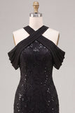 Mermaid Black Sequins Halter Neck Lace Maxi Formal Dress