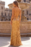 Sparkly Mermaid Spaghetti Straps Sequins Long Gold Prom Dress