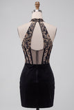 Black Corset Halter Velvet Ruched Deep V-Neck Short Homecoming Dress with Embroidery