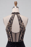 Black Corset Halter Velvet Ruched Deep V-Neck Short Homecoming Dress with Embroidery