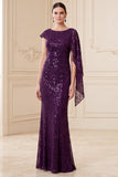 Dark Purple Mermaid One Shoulder Sequins Long Mother of the Bride Dress