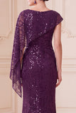 Dark Purple Mermaid One Shoulder Sequins Long Mother of the Bride Dress