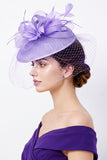 Lilac Crinoline Loops Birdcage Netting Fascinator Hat with Feathers