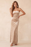Champagne Velvet Sheath Strapless Long Holiday Party Dress