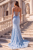Light Blue Mermaid Floral Appliques Corset Spaghetti Straps Long Prom Dress