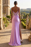 Champagne Appliqued Corset Mermaid Long Prom Dress with Slit