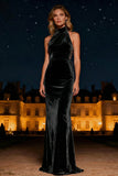 Purple Velvet Halter Sheath Long Formal Dress