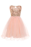 Pink A Line Round Neck Sequins Girl Party Dress with Appliques