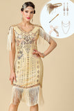 Apricot Sheath V-Neck Sequins Fringed Midi 1920s Dress With 5-Piece Accessories Set