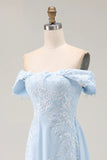 Elegant Sky Blue Off the Shoulder Chiffon Sheath Long Mother of the Bride with Lace Appliques