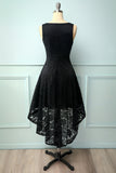Black V-Neck Lace Dress