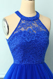 Halter Royal Blue Lace Dress