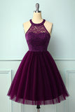 Purple Halter Lace Dress