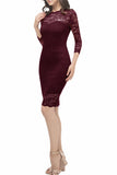 Bodycon Lace Dress with Sleeves
