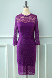 Lace Bodycon formal Dress