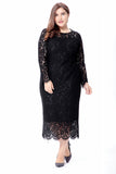 Plus Size Long Sleeves Wedding Guest Dress