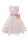 Blue Embroidery Lace Girls' Dress with Bowknot
