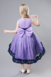 Blue Tulle Glitter Flower Girls Party Dress With Bow