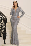 Silver Sparkly Long Sleeves Mother of the Bride Dress with Fringes