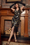 Sequins 1920s Fringe Flapper Vintage Dress