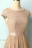 Champagne Cap Sleeves Lace