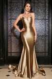 Mermaid Lace-Up Back Golden Long Prom Dress
