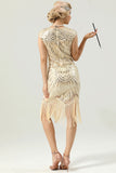 Gatsby Glitter Fringe 1920s Dress