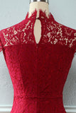 Sheath Jewel Lace Dress