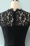 Black Bodycon Lace Dress
