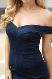 Navy Bodycon Lace 1960s Dress