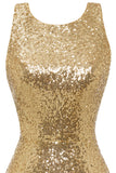 Bodycon Golden Sequins Cocktail Dress Open Back